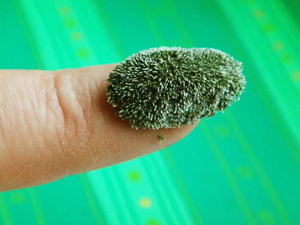 NailArt